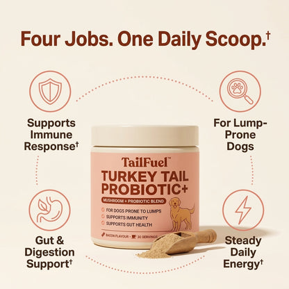 TailFuel™ — Turkey Tail Probiotic+ for Senior Dogs
