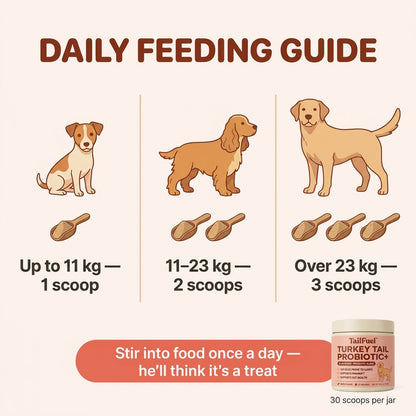 TailFuel™ — Turkey Tail Probiotic+ for Senior Dogs
