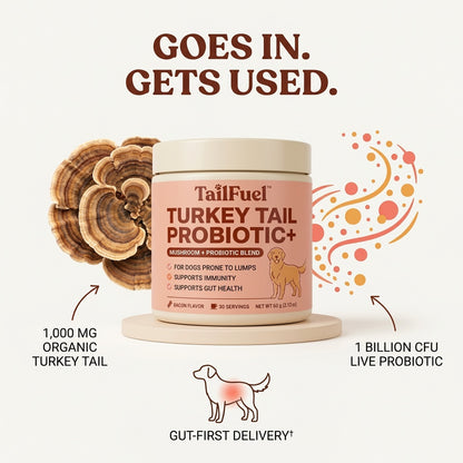 TailFuel™ — Turkey Tail Probiotic+ for Senior Dogs